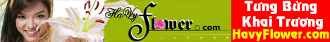 HaVyFlower.com - Gửi Hoa & Quà về Việt Nam !